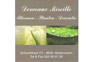 Derveaux